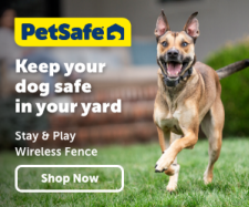 PetSafe wireless pet and dog fence